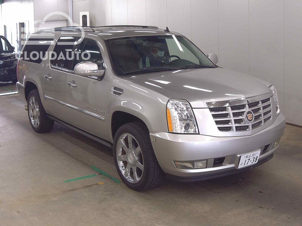 2010 Cadillac ESCALADE