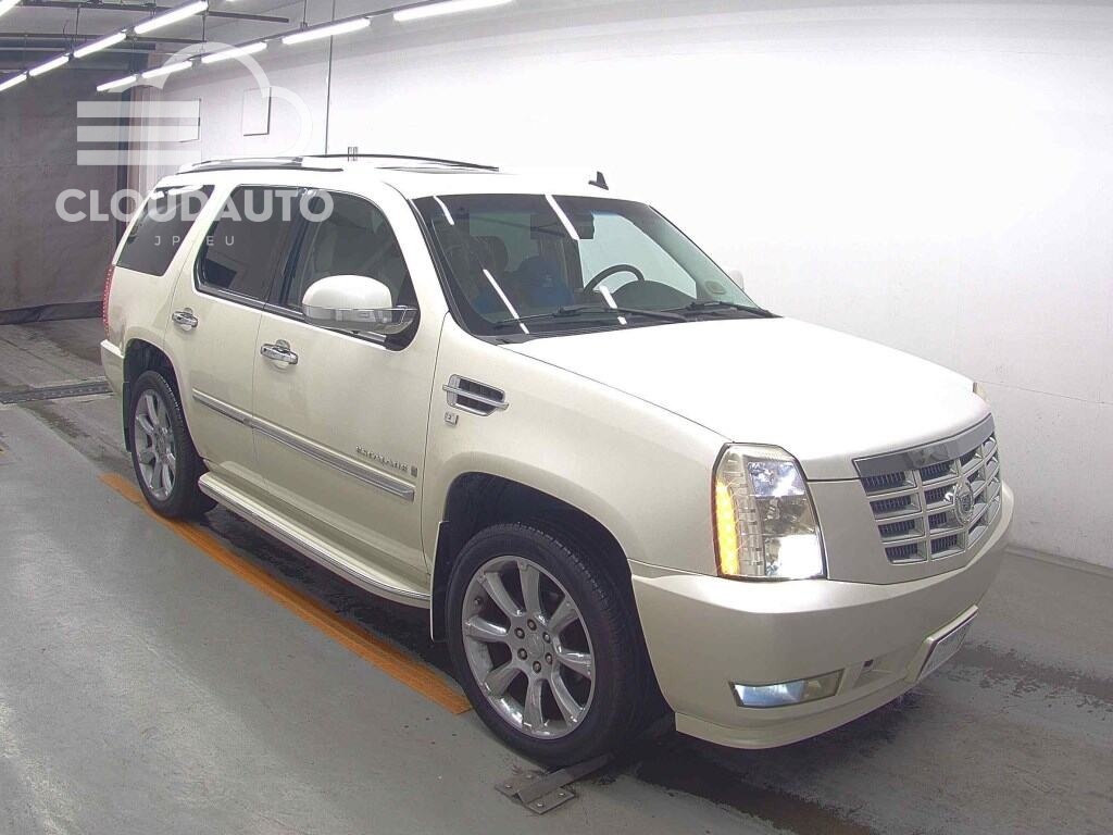 2010 Cadillac ESCALADE
