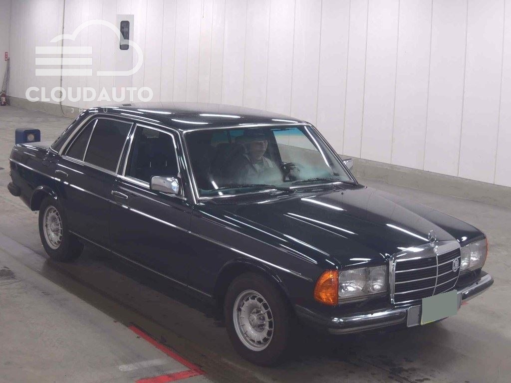 1981 Mercedes-Benz MEDIUM CLASS